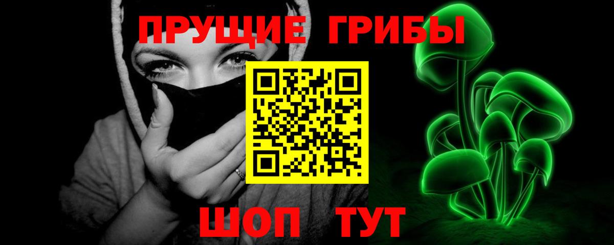 Псилоцибиновые грибы Psilocybe  Вход с VPN  Вязьма 